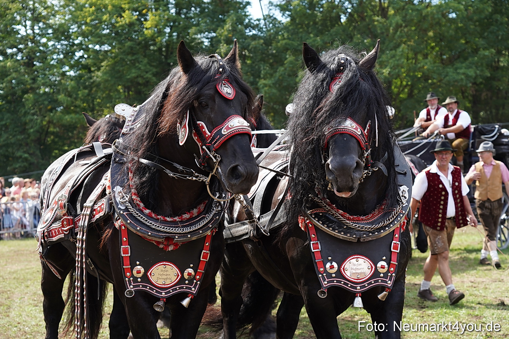 Pferde und Fohlenschau 2022 0308 
